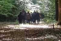 Waldjugendspiele iim Stadtwald 
