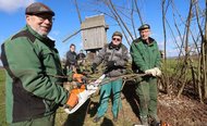 Nieheimer Hecke iwird geflochten