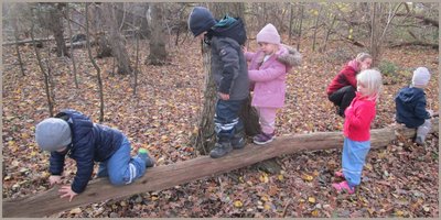 Glückspilze beenden Gesundheitsprojekt Glückspilze beenden Gesundheitsprojekt