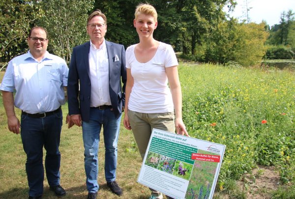 Bienenfreundlich: Der Kreis blüht auf