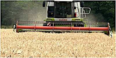 Sommerliches Wetter erleichtert eine zügige und trockene Ernte