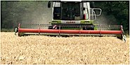 Sommerliches Wetter erleichtert eine zügige und trockene Ernte Sommerliches Wetter erleichtert eine zügige und trockene Ernte