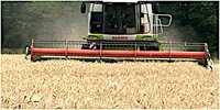 Sommerliches Wetter erleichtert eine zügige und trockene Ernte