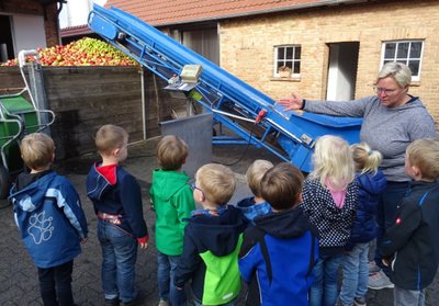 Woher kommt der Apfelsaft?