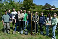 Apfelbaum auf Schulgelände gepflanzt