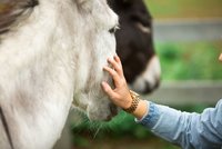 Wie die Natur psychisch kranken Kindern hilft 