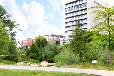 CDU will Klima-Quartier für Detmold CDU will Klima-Quartier für Detmold