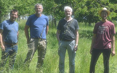 Erhalt alter Obstbäume im Focus Erhalt alter Obstbäume im Focus