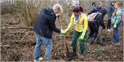 Klimaschutz: Bäume pflanzen statt Papier wälzen Klimaschutz: Bäume pflanzen statt Papier wälzen