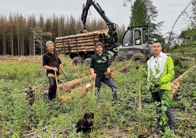 Neuanfang im Stadtwald durch Aufforstung Neuanfang im Stadtwald durch Aufforstung