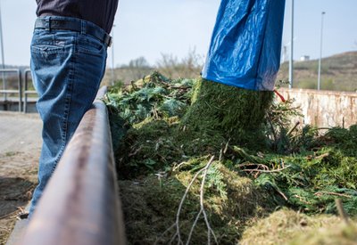  Annahme von Grünabfällen im Entsorgungszentrum  Alte Schanze