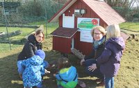 Hühner auf Burg Sonnenschein zu Hause