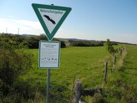  Frühling ist Schwerstarbeit für die Natur