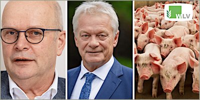Beringmeier an Rainer: Wir brauchen Sofortmaßnahme.n