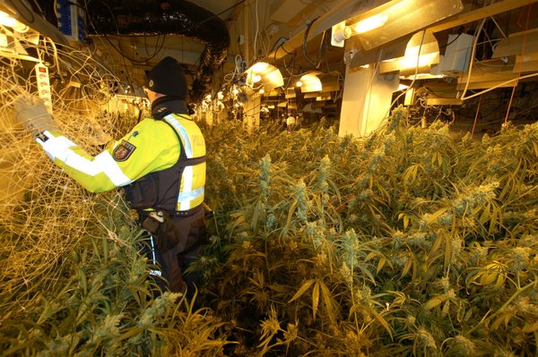 Drogenplantage in Gewerbehalle entdeckt