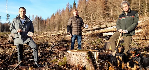 Naturfreunde Büren forsten auf