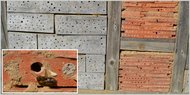 Wildbienen sind wertvolle Bestäuber im Obst- und Gemüsegarten Wildbienen sind wertvolle Bestäuber im Obst- und Gemüsegarten
