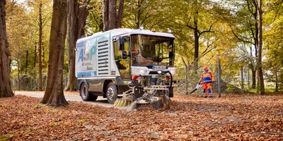 Infos zum Umgang mit Laub und Fallobst Infos zum Umgang mit Laub und Fallobst