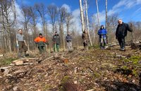 1.000 Eichen für den Bürener Stadtwald