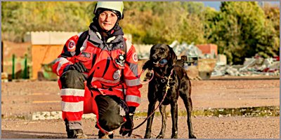 Labradorhündin Eliza hat Prüfung bestandenj Labradorhündin Eliza hat Prüfung bestandenj
