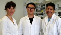 Neue Materialien für smarte Düngemittel