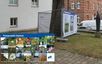 Fotobanner einer Ausstellung gestohlen