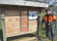 Wildbienenwand des BUND Lemgo erneuert