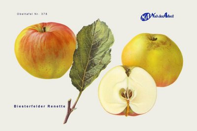 BUND Lemgo stellt regionale Obstsorten vor BUND Lemgo stellt regionale Obstsorten vor