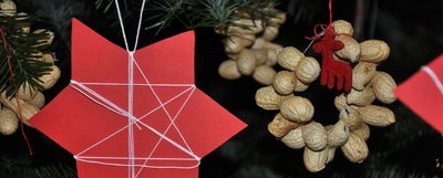 Weihnachtsbäume für die Innenstadt gesucht Weihnachtsbäume für die Innenstadt gesucht