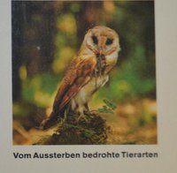 Rückgang Artenvielfalt - Noah würde Segel setzen