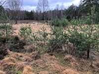 Landschaftspflege in Naturschutzgebieten