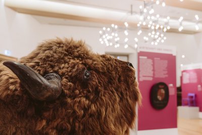 Museumspädagogen informieren Museumspädagogen informieren