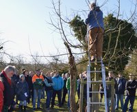  Kursus zum Obstbaumschnitt  
