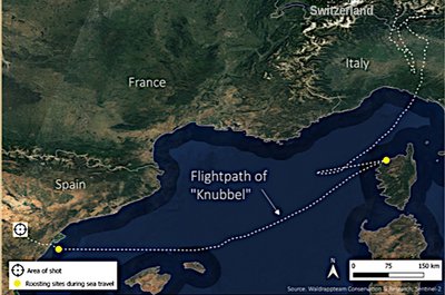 Knubbels unglaublicher Flug und das traurige Ende Knubbels unglaublicher Flug und das traurige Ende