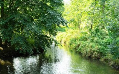 Anhaltende Trockenheit