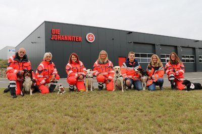 Lebensretter auf vier Pfoten