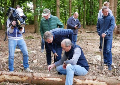 Waldbauern in Not: Wiederbewaldung  kostenintensiv