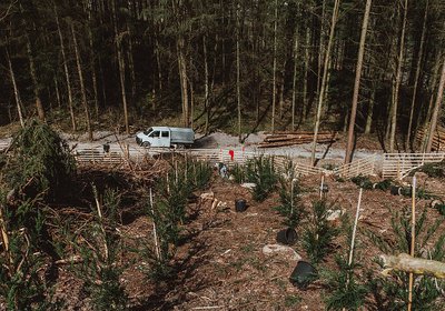 Klimawald-Projekt der TH OWL erneut ausgezeichnet Klimawald-Projekt der TH OWL erneut ausgezeichnet