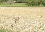 Corona lockt Erholungssuchende in die Schutzgebiete Corona lockt Erholungssuchende in die Schutzgebiete