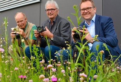 Der Kreis Paderborn blüht und summt