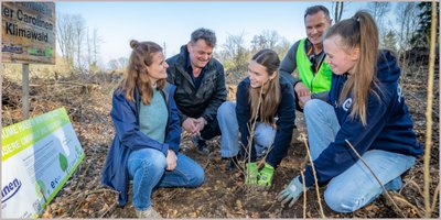 Aufforstung mit neuen Bäumen für den Teuto