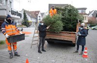 Aktion: Tannenbaum raus