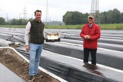 Ernte ohne osteuropäische Arbeitskräfte unmöglich