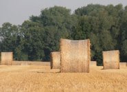 Feldbrände der letzten zwei Wochen in der Region beunruhigen die heimischen Landwirte