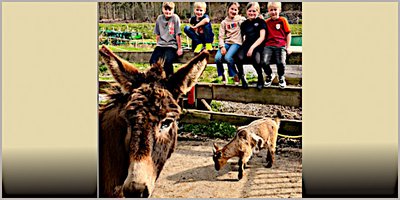 Projekt: Das lernt man auf dem Bauernhof