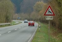 Rollerfahrer bei Kollision mit Reh verletzt 