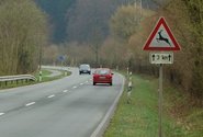 Rollerfahrer bei Kollision mit Reh verletzt Rollerfahrer bei Kollision mit Reh verletzt