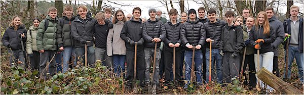 Klimaschutz: Bäume pflanzen statt Papier wälzen