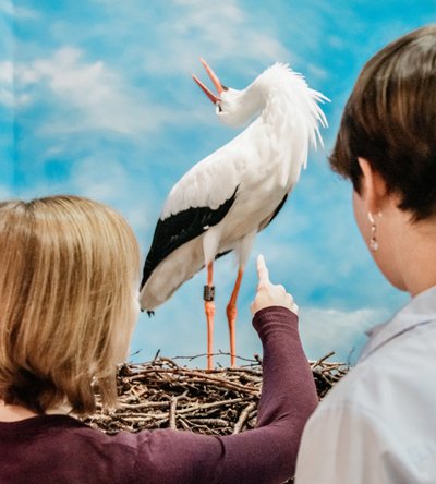 Ausstellung im LWL-Museum Ausstellung im LWL-Museum