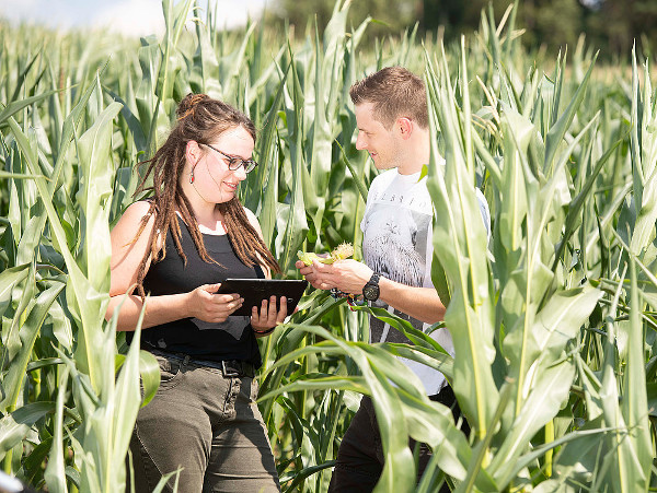 Digitalisierte Landwirtschaft